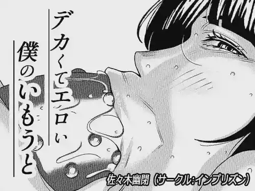 Download Dekakute Eroi Boku no Imouto 3【机翻】