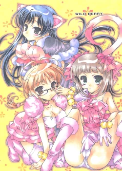 Page 1 of WILD BERRY