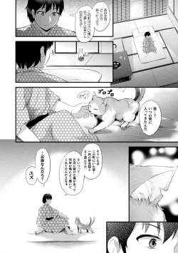 Page 144 of Mofumofu Diary