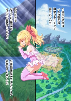 Page 4 of Seijo-sama no Shugo Kishi desu ga Ura de Kossori Yarimakuttemasu