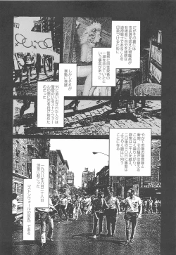 Page 324 of Bears Tanteidan | The Bear Detectives