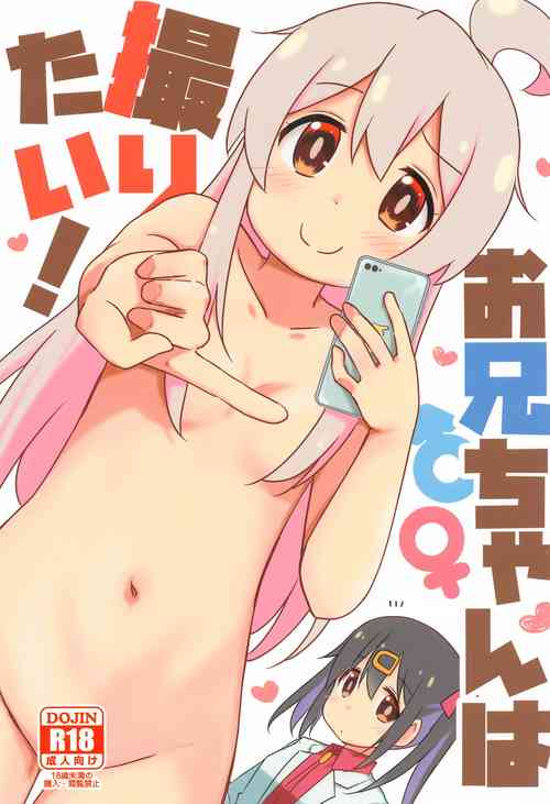 Download Onii-chan wa Toritai!