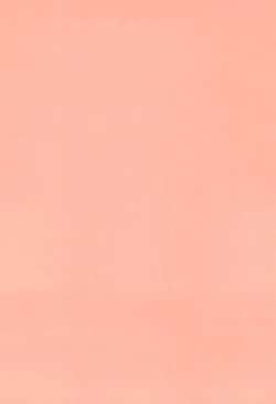 Page 4 of Mako to Himitsu no Itazura ~ Mako no Omoide Undoukai