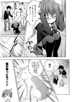 Page 13 of Nyancology 1.01san No himitsu-