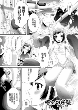 Page 4 of Sanzou Houshi