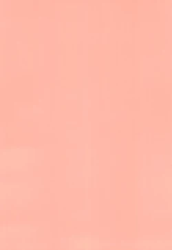 Page 4 of Manadeshi to Love Love Ecchi - Matome Hon