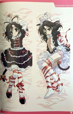 Page 20 of SCHOOLDAYS SERIES COMPLETE BOX Book