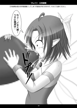 Page 7 of Onaho Yousei Toriatsukai Setsumei-sho