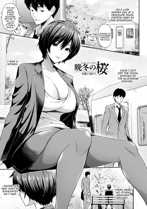 Download Bantouno Sakura | A Cherry Blossom On A Winter Night