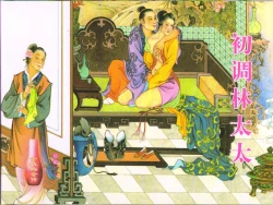 Page 1 of 金瓶梅全传 三十九 初调林太太