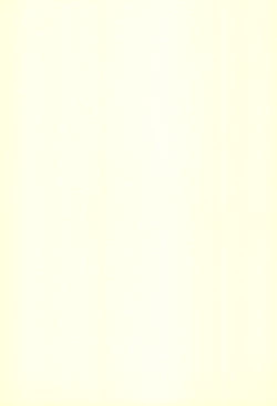 Page 17 of Himitsu no Kojin Jugyou