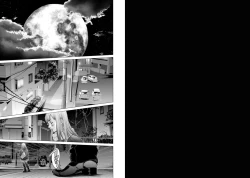 Page 24 of Holy Knight| Holy KnightVol. 8