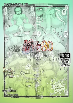 Page 28 of HARAMACHI 30