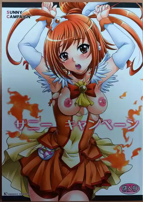 Download SUNNY CAMPAIGN