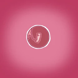 Page 21 of Yumi no Ryuugaku | 由美的留学生活