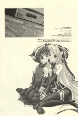 Page 25 of Kenja no Mimi wa Neko no Mimi!?