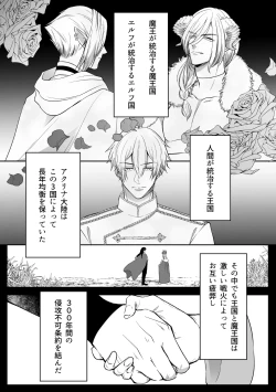 Page 3 of Tsuihou Sareta Reijou wa Maou to Tomoni Fukushuu suru ep.1