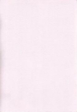 Page 2 of SHIKAESHI RR