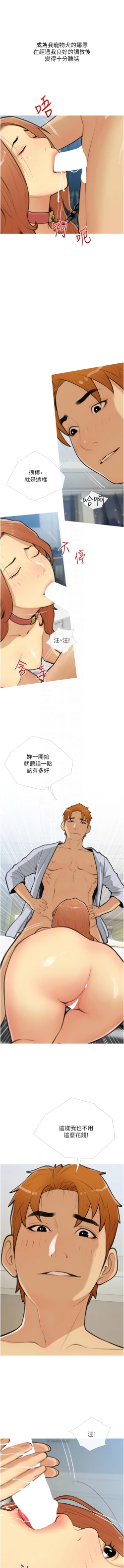 Page 342 of 糖果爸爸的抢婚大作战 | 糖果爸爸的搶婚大作戰 1-35 END