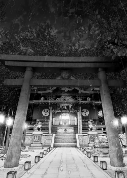 Page 222 of Monogatari no youni | 正如我们共同谱写的故事那般