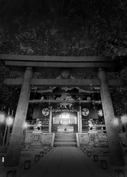 Page 241 of Monogatari no youni | 正如我们共同谱写的故事那般