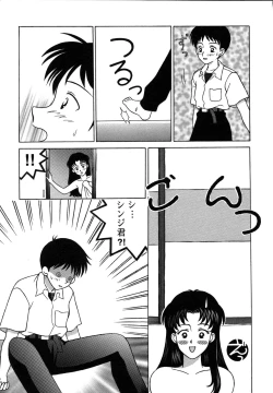 Page 77 of ProjectE Dainiji Chuukanhoukoku