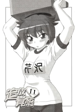 Page 2 of Tuihou-kakugo Version.11