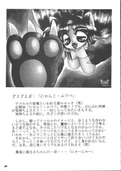 Page 28 of Nakoruru SP