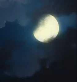 Page 216 of Queen Bee64 - Seonyeong's Corruption Mom NTR