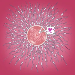 Page 15 of Yumi no Ryuugaku | 由美的留学生活