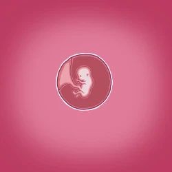 Page 68 of Yumi no Ryuugaku | 由美的留学生活