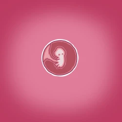 Page 45 of Yumi no Ryuugaku | 由美的留学生活