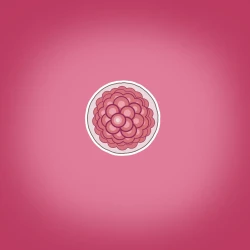 Page 21 of Yumi no Ryuugaku | 由美的留学生活