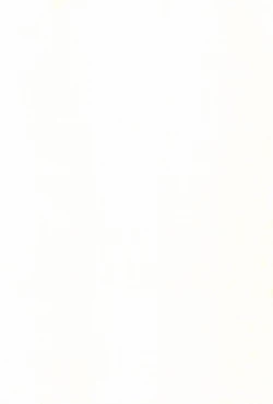 Page 4 of The Chime will Ring．perfect world．総集編