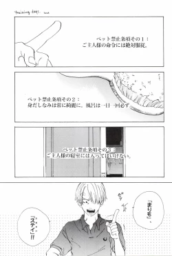 Page 23 of TCNX-2004