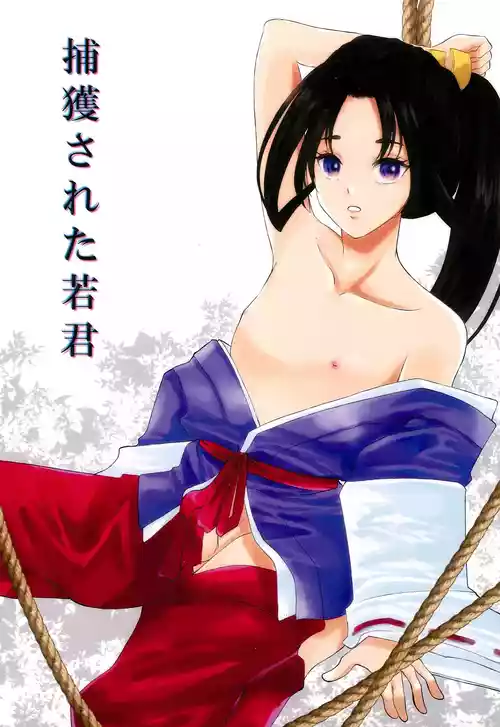 Download Hokaku sareta Wakagimi