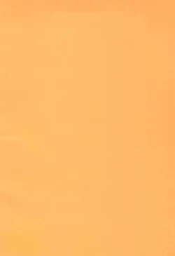 Page 42 of TV no Kuni kara Kirakira