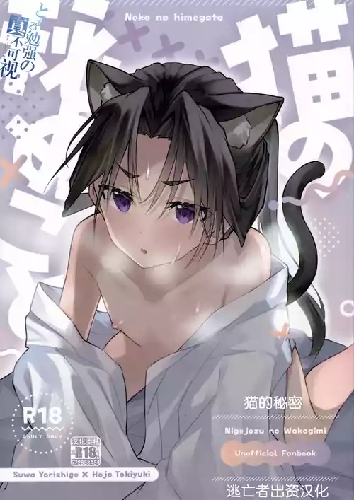 Download Neko no Himegoto