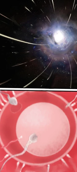 Page 29 of 作业帮·《Not yet dawn》（明日方舟英语同人H·LC整合汉化组代发）