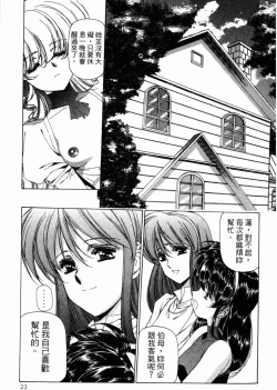 Page 25 of VAMPIRE MASTER 02