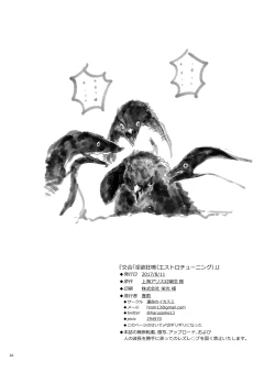 Page 26 of Kougou "Estro Tuning"