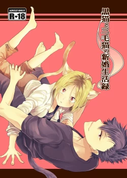 Page 1 of Kuroneko to Mikeneko no Shinkon Seikatsuroku