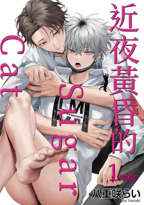 Download Yoiyami Sugar Cat | 近夜黃昏的Sugar cat