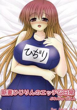 Download Niiduma Hijirin no Ecchi na Nichijou Preview ban