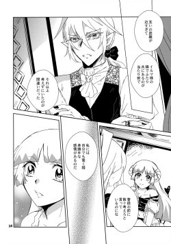 Page 13 of [TräumereiAnswer