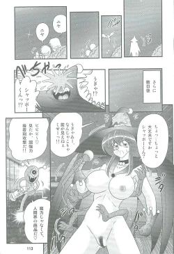 Page 116 of Seirei Tokusou Fairy Saber W Kegareta Rashin