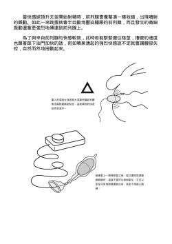Page 217 of 自慰攻略：圖解男性手淫．菊花遊戲完全指南