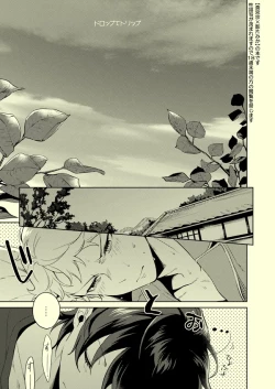 Page 2 of Drop de Trip