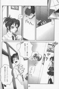 Page 20 of Saitei
