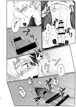 Page 38 of 透明バイパス